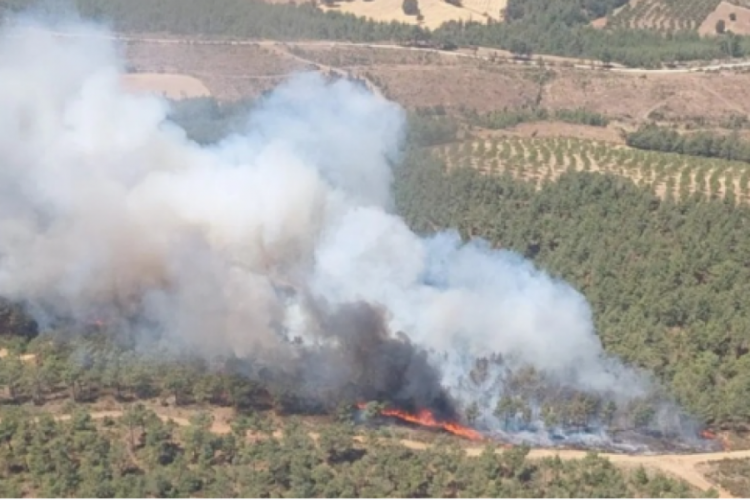 Çanakkale'de yangın kabusu yeniden başladı: Kaz dağları tehdit altında!