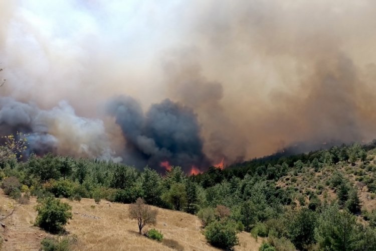 Silifke'de ormanlık alanda yangın çıktı