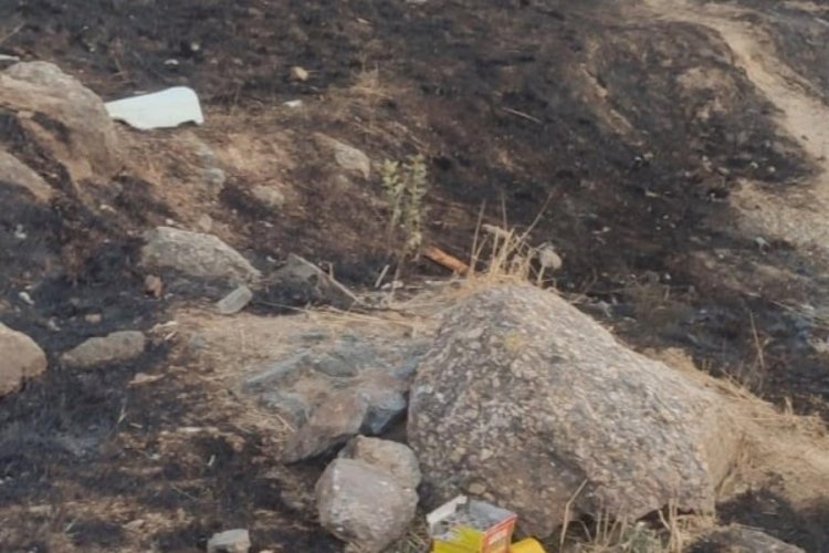 Havai fişek atarak yangın çıkaran zanlı tutuklandı