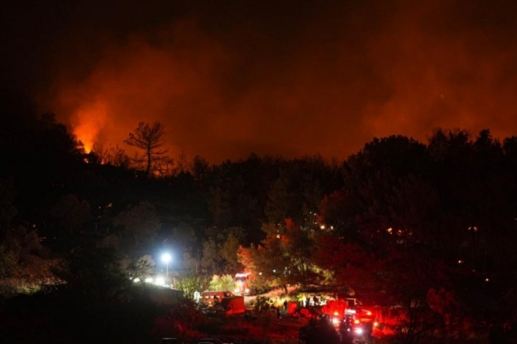 İzmir'deki orman yangınıyla ilgili 1 şüpheli tutuklandı