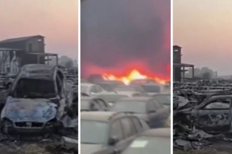 Yunanistan kabusu yaşıyor! Orman yangını otoparka sıçradı: 550 araç küle döndü