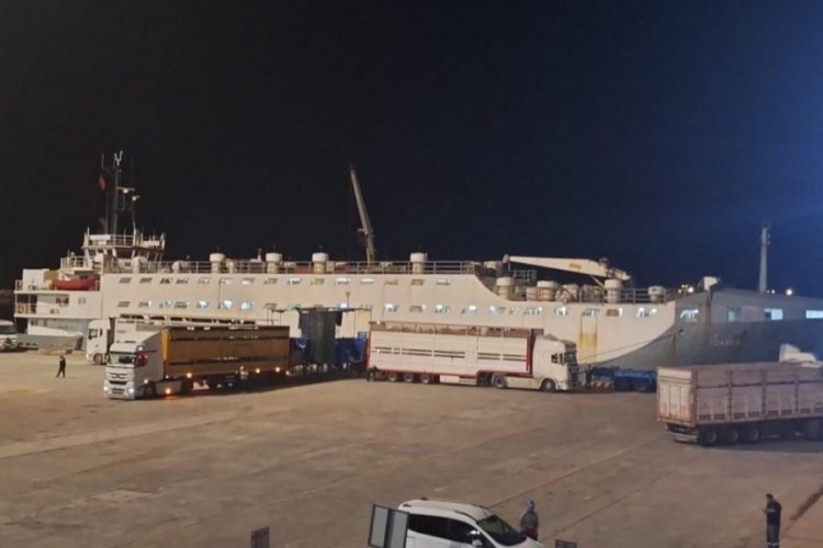 "Yüzen Ahır" yine Bandırma'da: Çelebi Limanı'na tepkiler büyüyor
