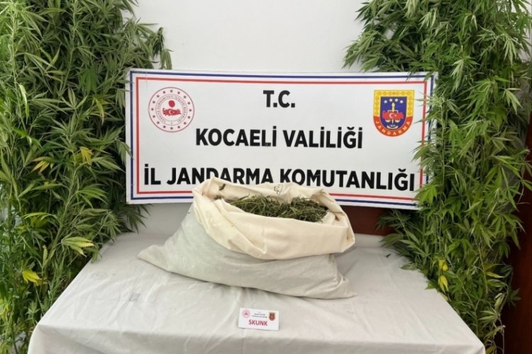 Evini uyuşturucu serasına çevirdi
