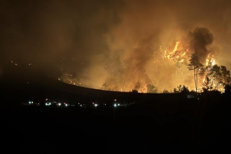 Suriye'de Lazkiye, Tartus ve Hama'daki orman yangınları sürüyor 