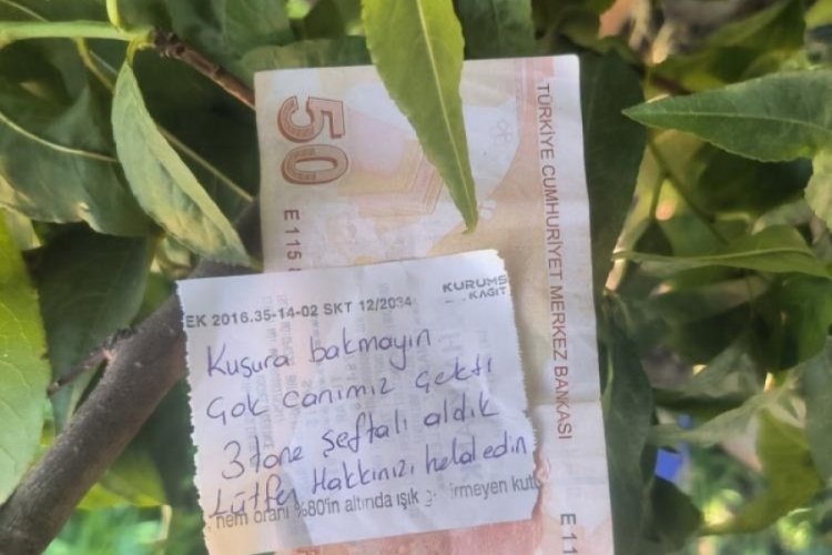 Bursa'da insanlık ölmemiş! Helallik istedi...