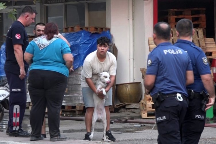 Yangın çıkan evdeki 2 köpeği itfaiye kurtardı