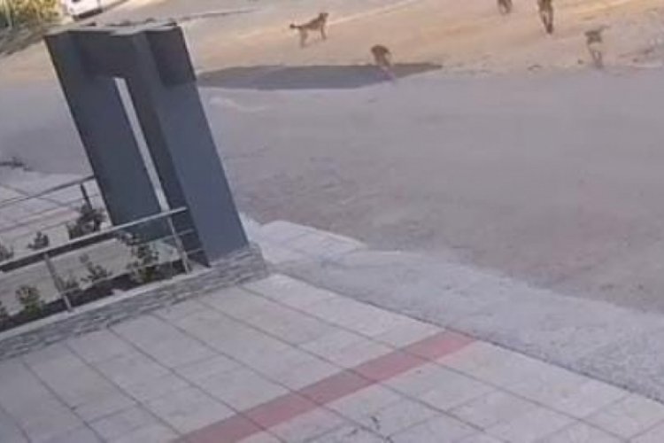 Bursa'da son anda kurtuldular! O anlar kamerada...