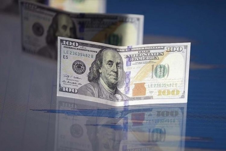 45 liraya dayanacak! Merkez Bankası yıl sonu dolar tahminini açıkladı