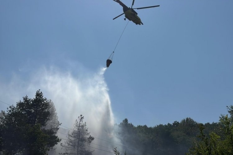 Bolu'da ormanlık alanda çıkan yangın büyümeden söndürüldü