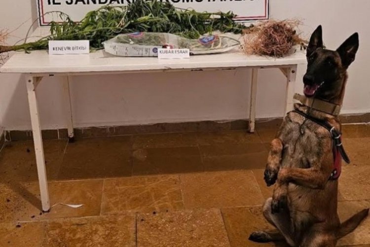 Bilecik'te uyuşturucu operasyonu