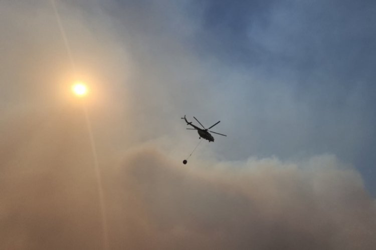 Kocaeli'de ormanı yangını nedeniyle bir köy boşaltılıyor