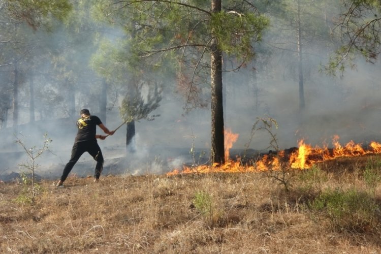 Adıyaman'daki orman yangını kontrol altına alındı 