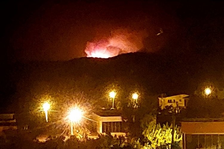 Bursa'nın bir diğer komşusundan alevler yükseliyor! Biri bitti derken diğer başlıyor...