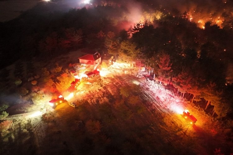 Çanakkale'de gece saatlerinde orman yangını
