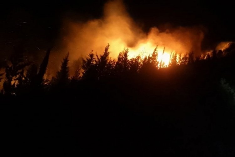 İzmir'in Urla ilçesinde çıkan yangın kontrol altına alındı