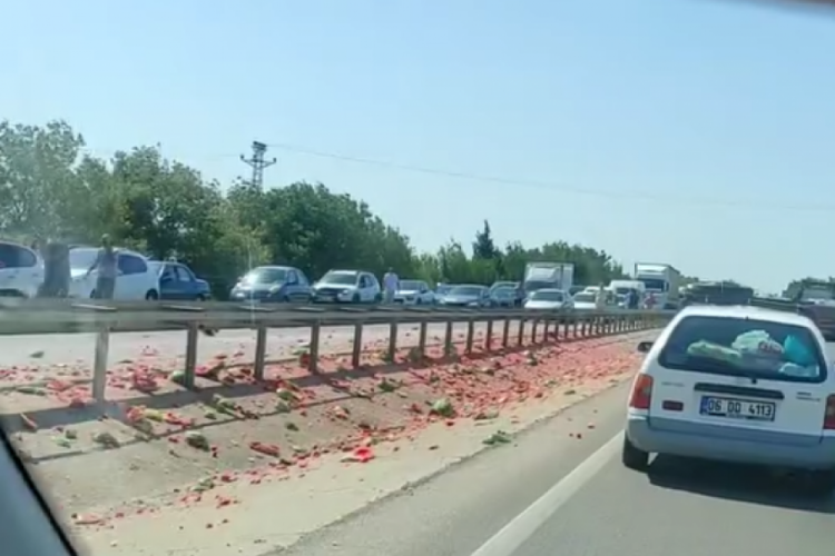 Bursa'da yol trafiğe kapandı! Görenler bir daha baktı...