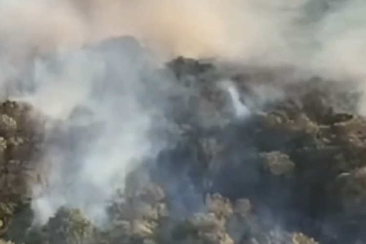Bursa'da orman yangını! Karadan ve havadan müdahale sürüyor...