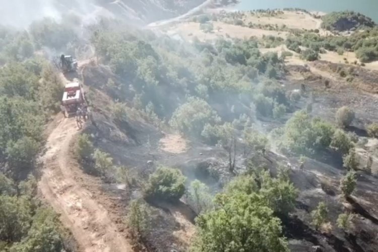Ormanlık alanda çıkan yangın büyümeden söndürüldü 