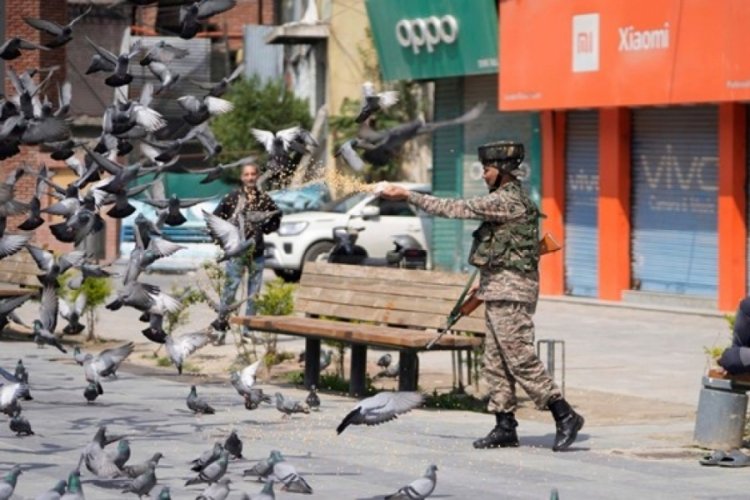 Hindistan'da tuhaf yasak! 