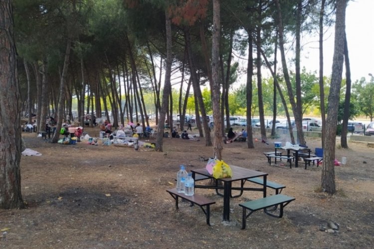 Orman yangınları felaketlerini yaşayan Bursa'da büyük sorumsuzluk