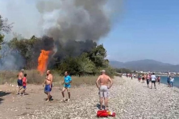 Muğla'da orman yangını