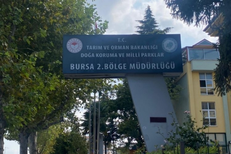 Bursa'daki avcılardan av yasağı kararına tepki! 