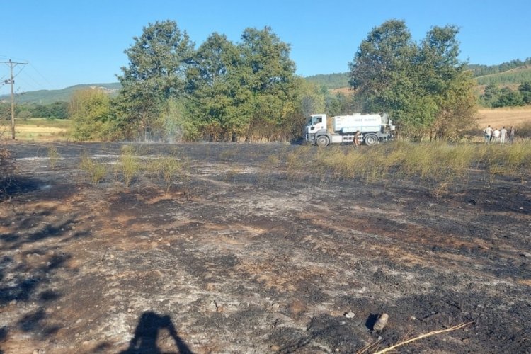 &Ccedil;anakkale'de zirai alanda &ccedil;ıkan yangın kontrol altına alındı