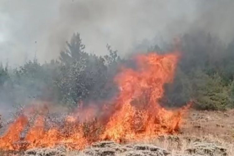 Çobanın yaktığı ateş yangına sebep oldu