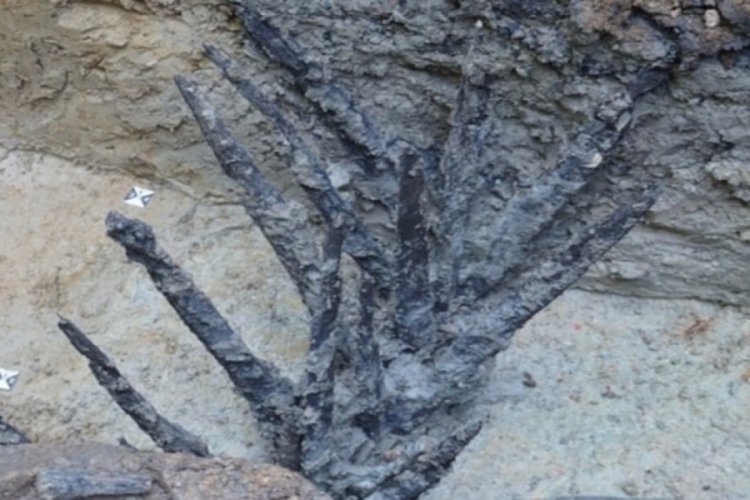 Tarihin en pahalı hatası 