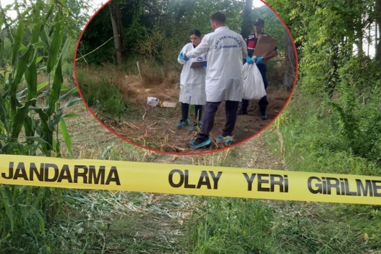 Tarladan çıkan kafatası ve kemikler çiftçiyi şoka uğrattı! Esrarengiz olayın sırrı çözüldü