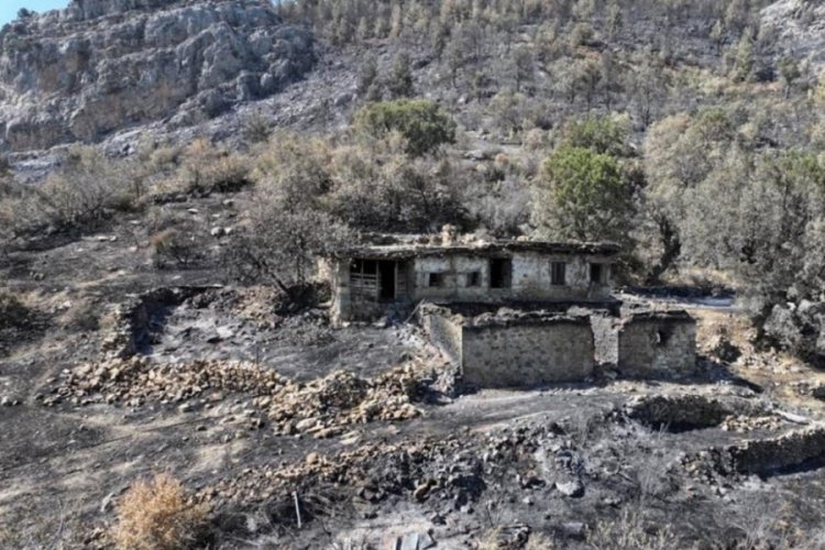 Mersin'deki yangının ardından kahreden g&ouml;r&uuml;nt&uuml;ler...