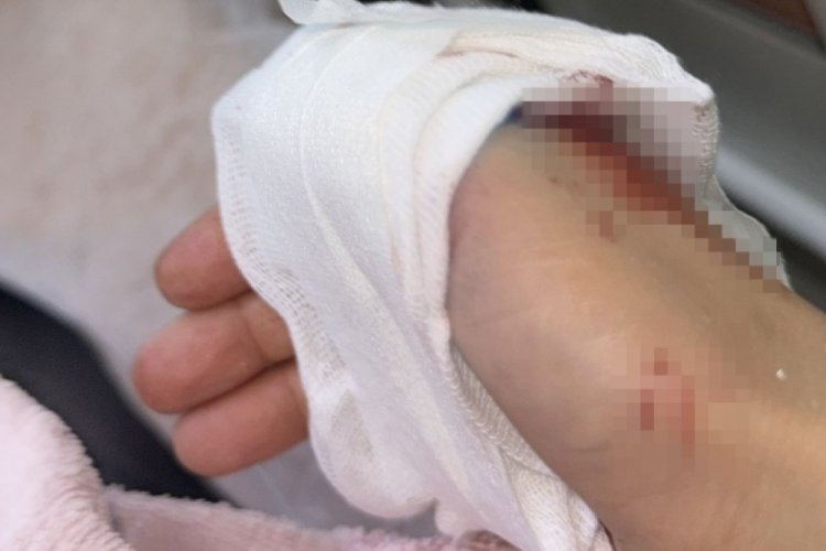 Diyarbakır'da üzerine duş kabini düşen kadın hastanelik oldu