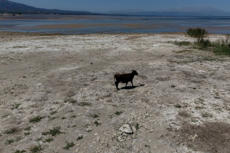 "Göl vefat etti, Türkiye'nin başı sağ olsun"