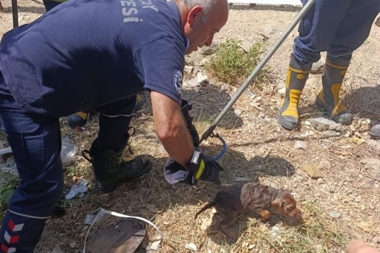 Kuyuya düşen yavru köpek kurtarıldı