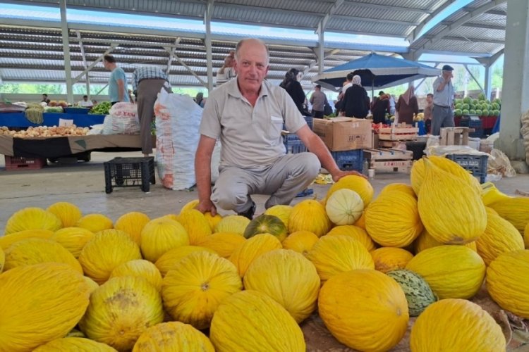 Hisarcık'ta yerli kavun 20 TL'den tezg&acirc;hta yerini aldı