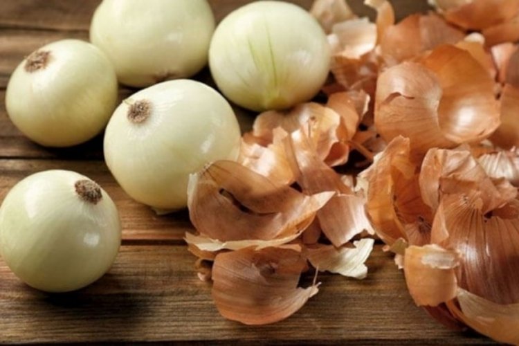 Meğer soğanın kabuğu asıl hazineymiş