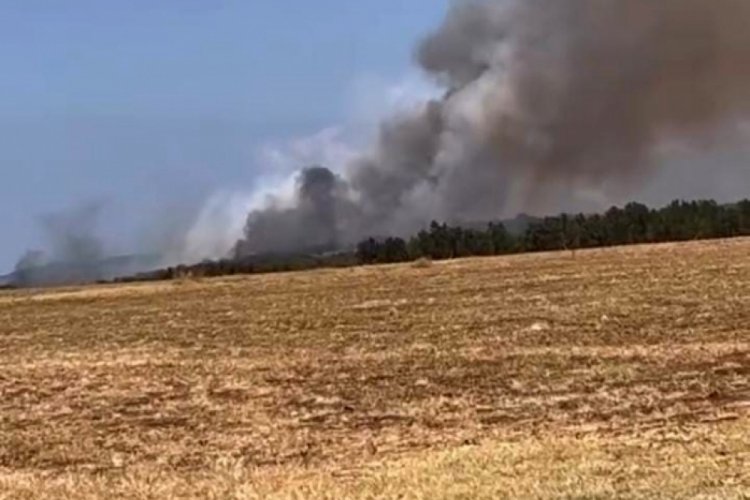 Bursa'da orman yangını: Çok sayıda ekip sevk edildi!
