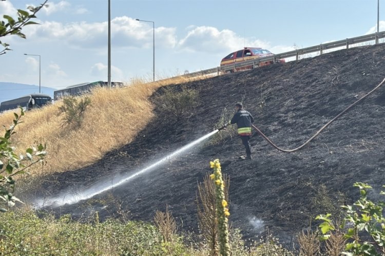 Bolu'da gişelerin girişinde otluk alanda yangın