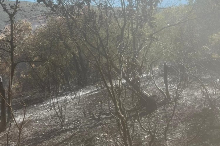 Bursa'daki yangına anında müdahale!