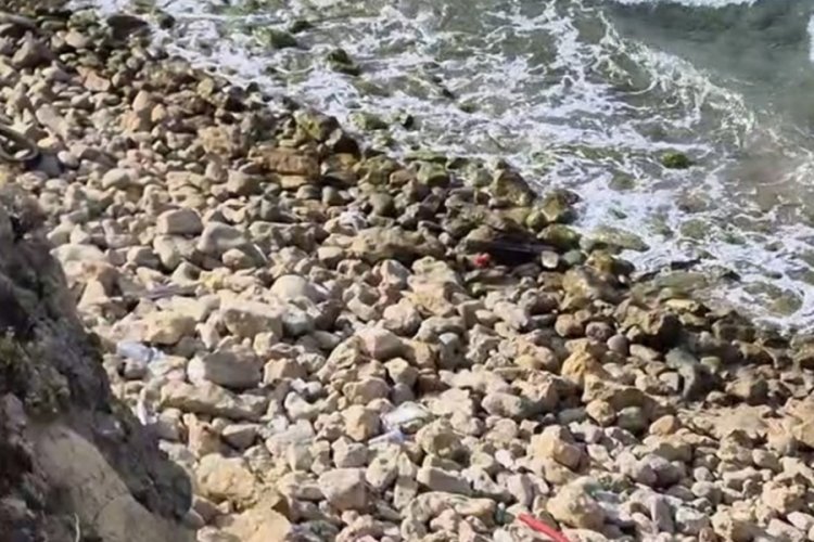 Şile sahilinde roket başlığına benzeyen cisim bulundu