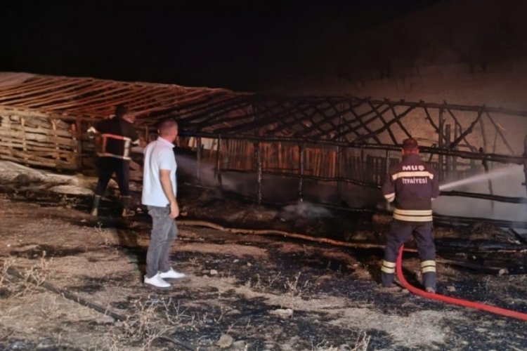Ahır yangınında hayvanlar son anda kurtarıldı...