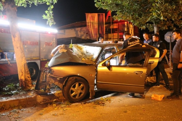 Ağaca ok gibi saplandı! 2 kişi feci şekilde can verdi!