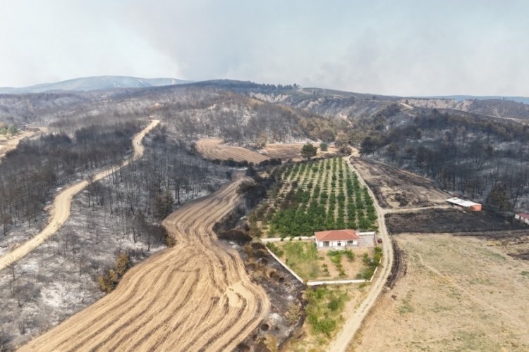Yangında herkesin yüreğini ferahlatan görüntü