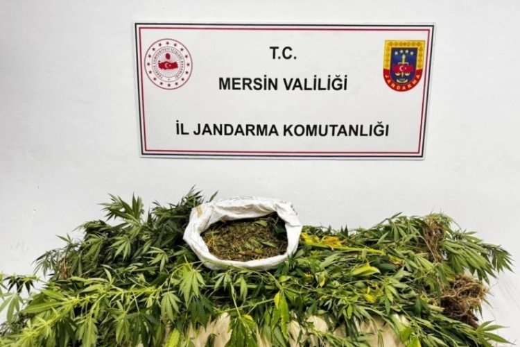 Mersin'de uyuşturucu operasyonu