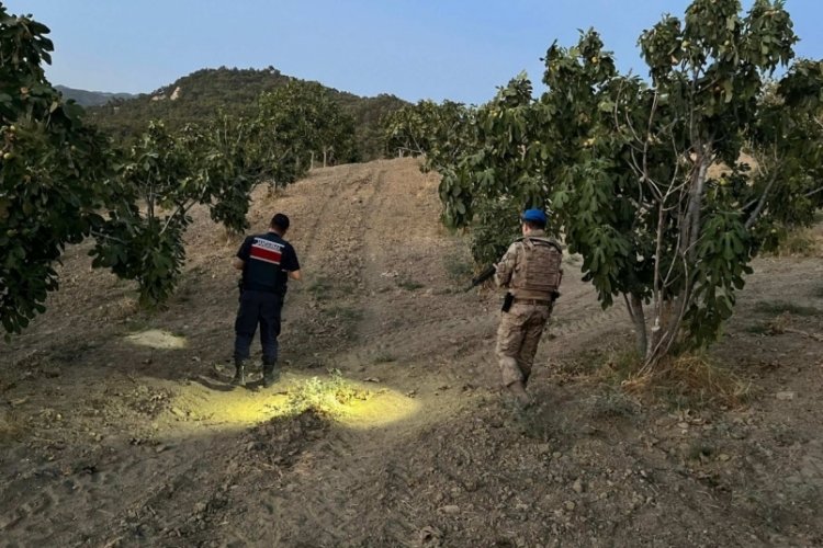 Jandarma incir hırsızlarına geçit vermiyor 