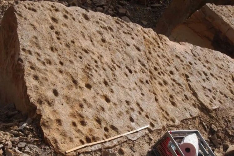 400 milyon yıllık balık ayak izleri
