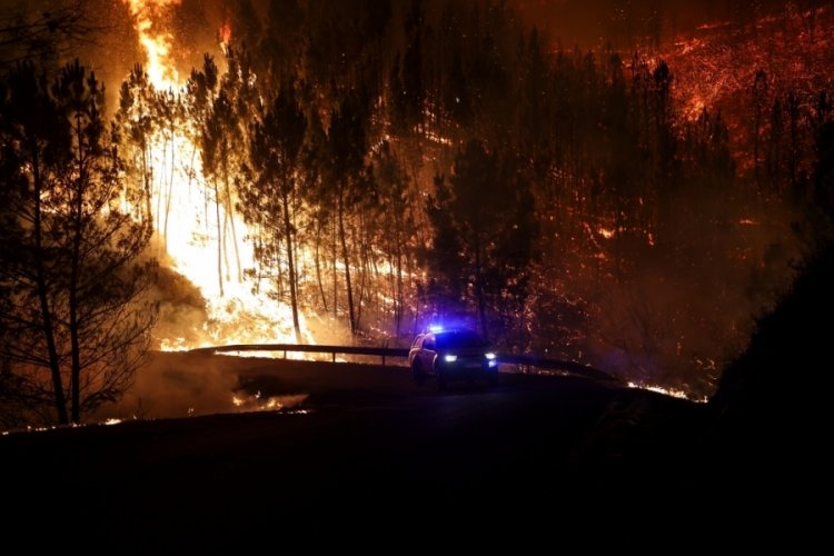 Portekiz'de orman yangınında ölü sayısı 3'e yükseldi