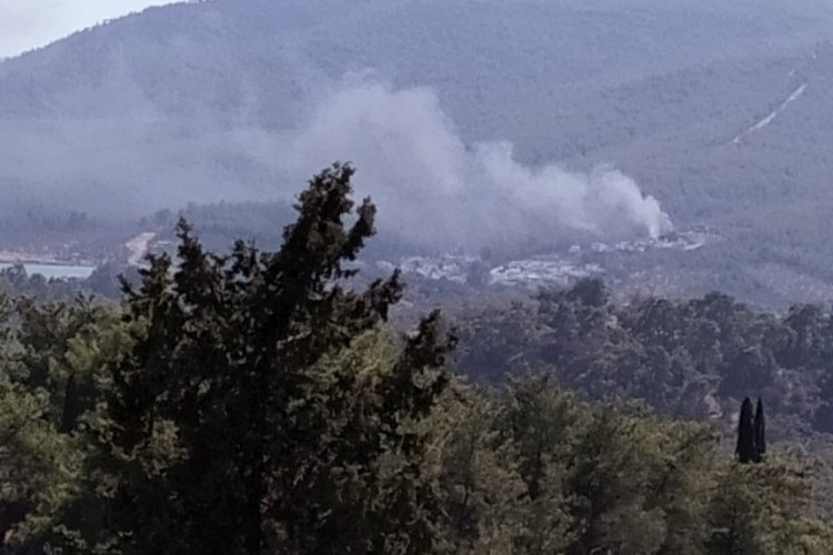 Yangın ormana sıçramadan söndürüldü