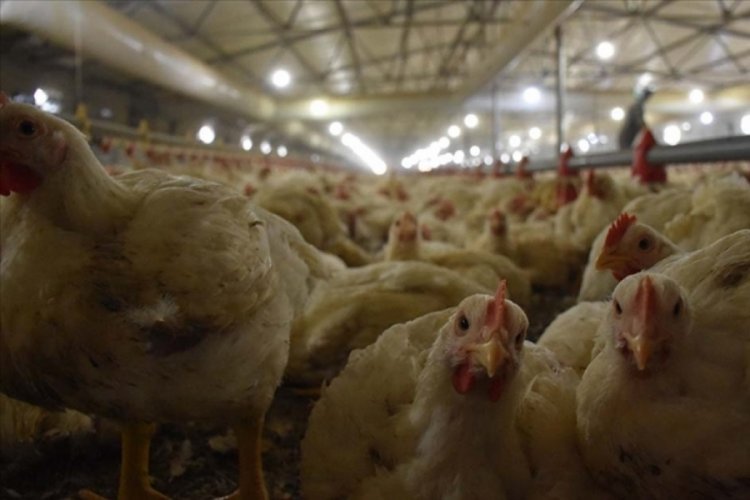Ticaret Bakanlığı'ndan Suriye açıklaması geldi! Türk ürünleri alınmayacak mı?