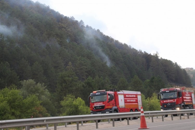 Bolu'daki yangın kısmi olarak kontrol altına alındı 
